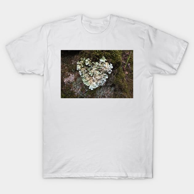 Heart shaped Lichen T-Shirt by pinkal